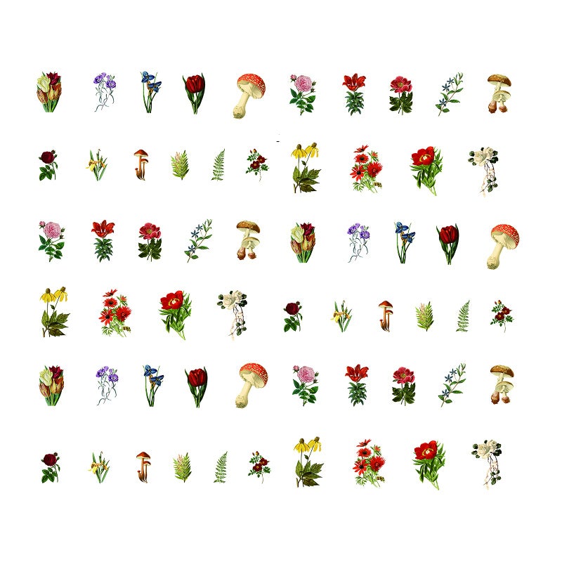 Doraking 60pcs Laptop Scrapbook Stickers, Doraking DIY Decorative Vintage Flowers Plants Set Stickers for Laptop Envelop, Scrapbook, Luggage, Windows, Glasses, Friendly to Kids (Vintage Flower) - Image 4
